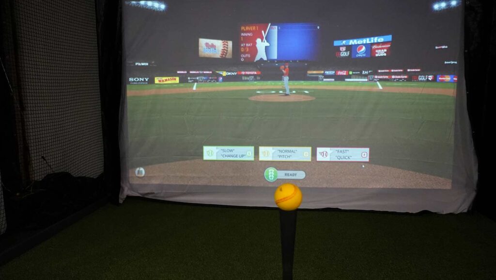 multi sports sim